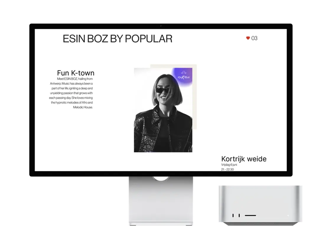 Visuals website Sinksen